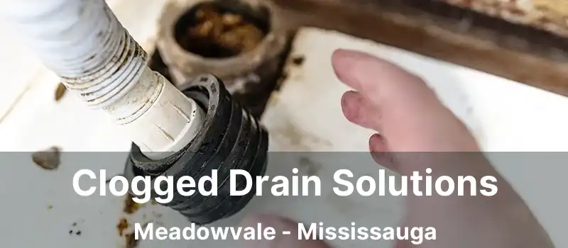  Clogged Drain Solutions Meadowvale - Mississauga