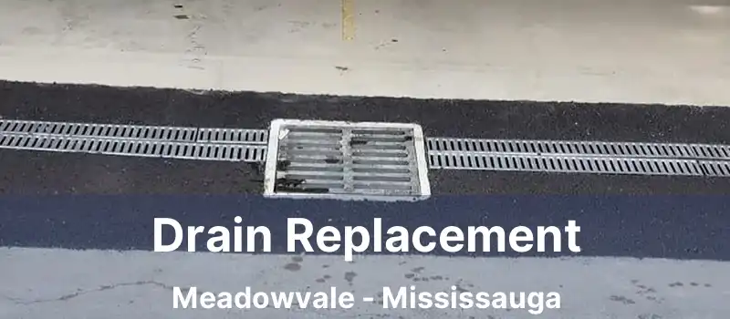  Drain Replacement Meadowvale - Mississauga